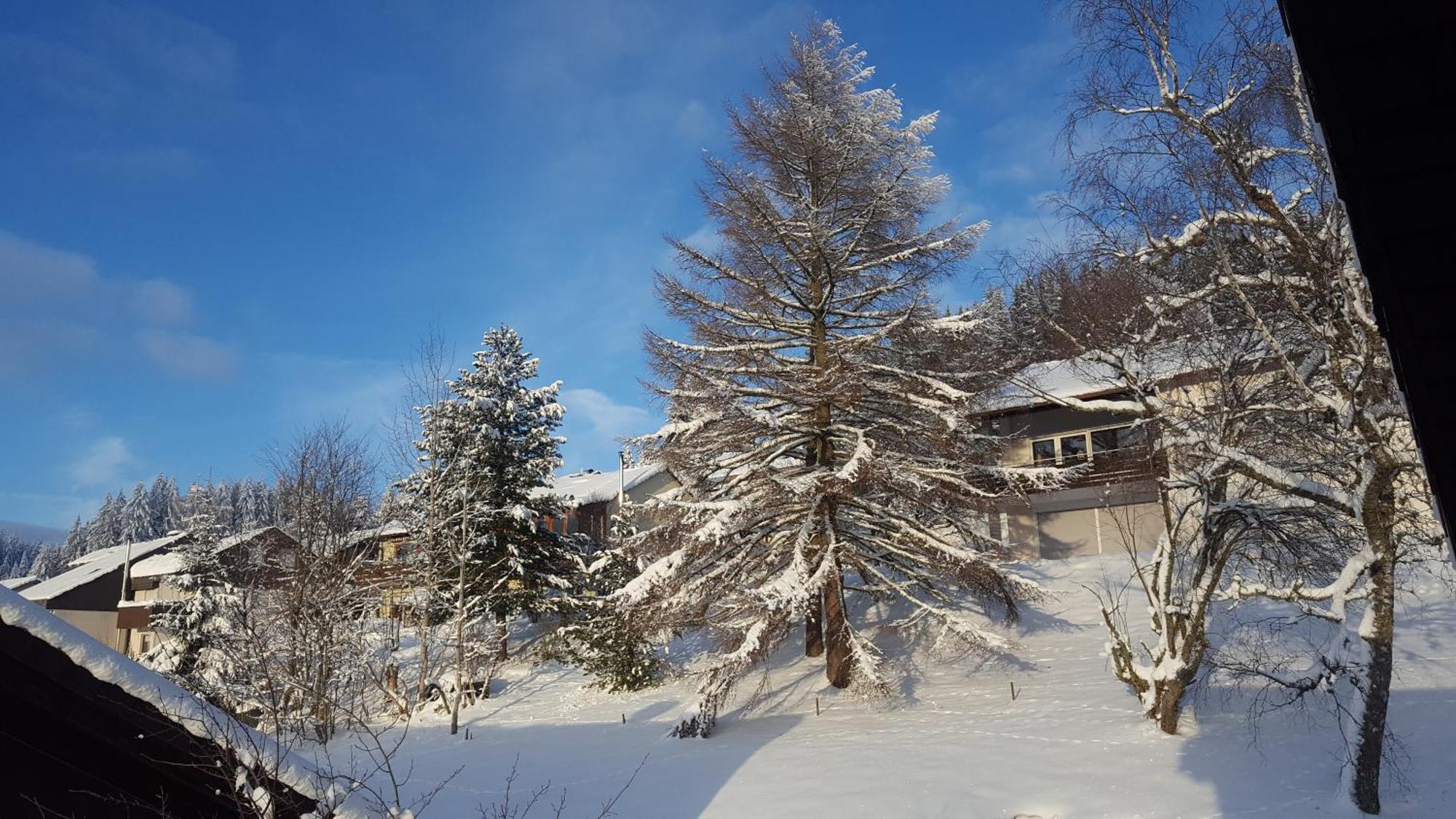 Ferienhaus Lucia, App.11 Шенвальд Екстер'єр фото
